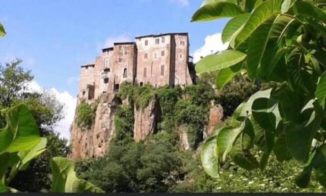 Agriturismo Villa Amerina Corchiano 外观 照片