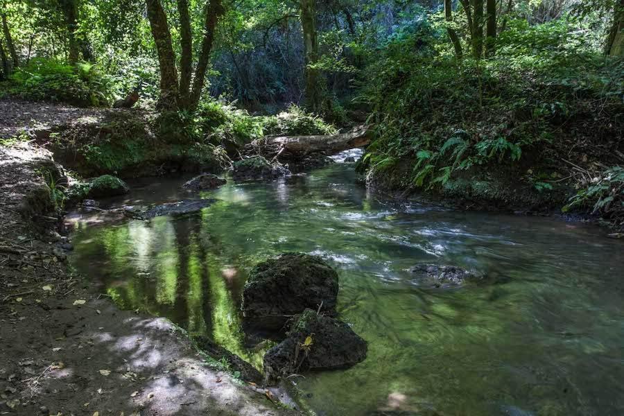 Agriturismo Villa Amerina Corchiano 外观 照片